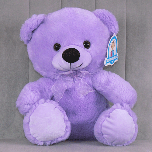Oso de peluche de colores Y669