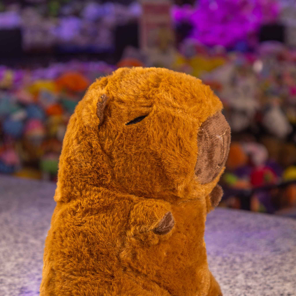 Capibaras de peluche, ideales  para negocios, tiendas de regalo y distribuidores. 