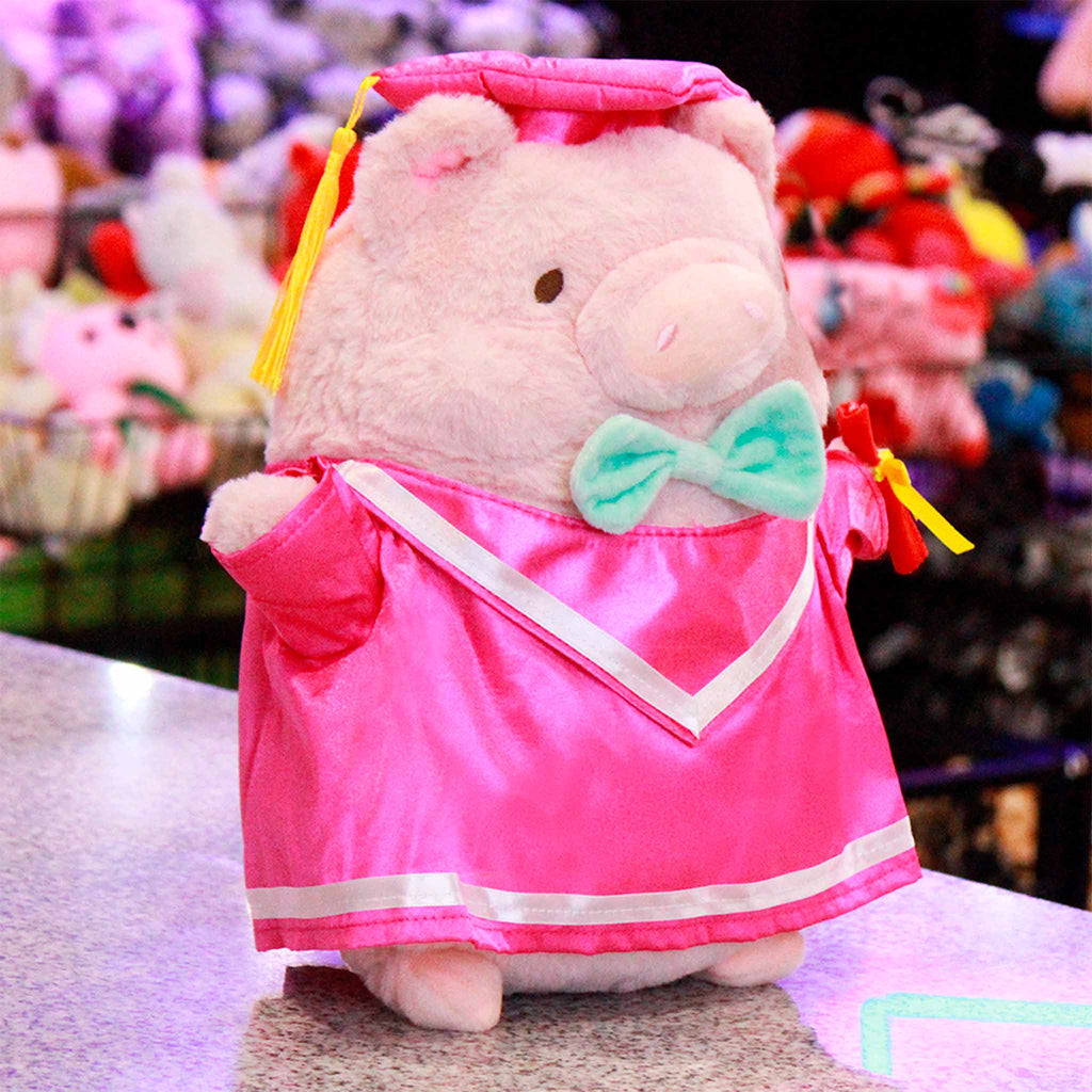 Cerdito de peluche para graduaciones. Ideal para negocios, mayoristas y tiendas de regalos