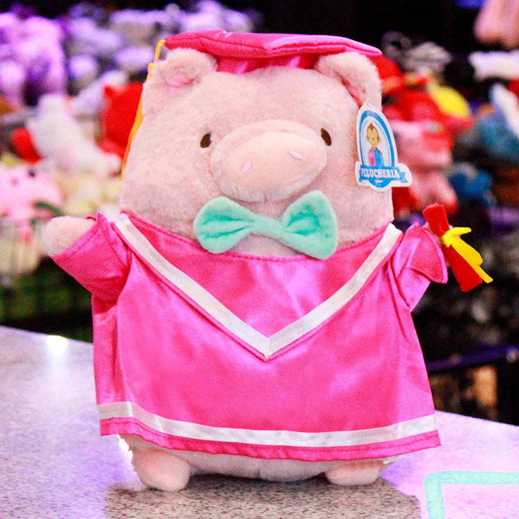 Cerdito de peluche para graduaciones. Ideal para negocios, mayoristas y tiendas de regalos