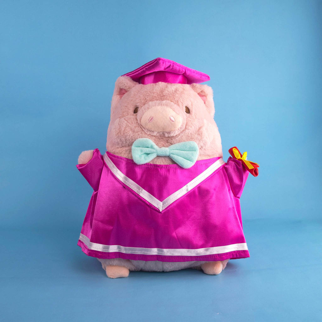 Cerdito de peluche para graduaciones. Ideal para negocios, mayoristas y tiendas de regalos