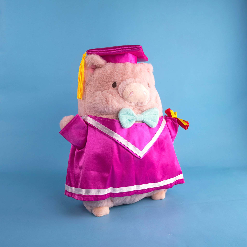 Cerdito de peluche para graduaciones. Ideal para negocios, mayoristas y tiendas de regalos