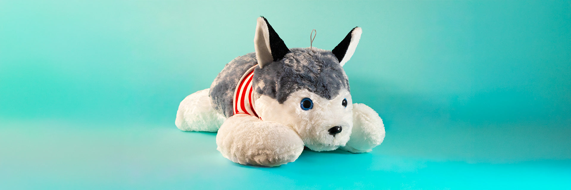 Colección de perros, perritos de peluche al  mayoreo