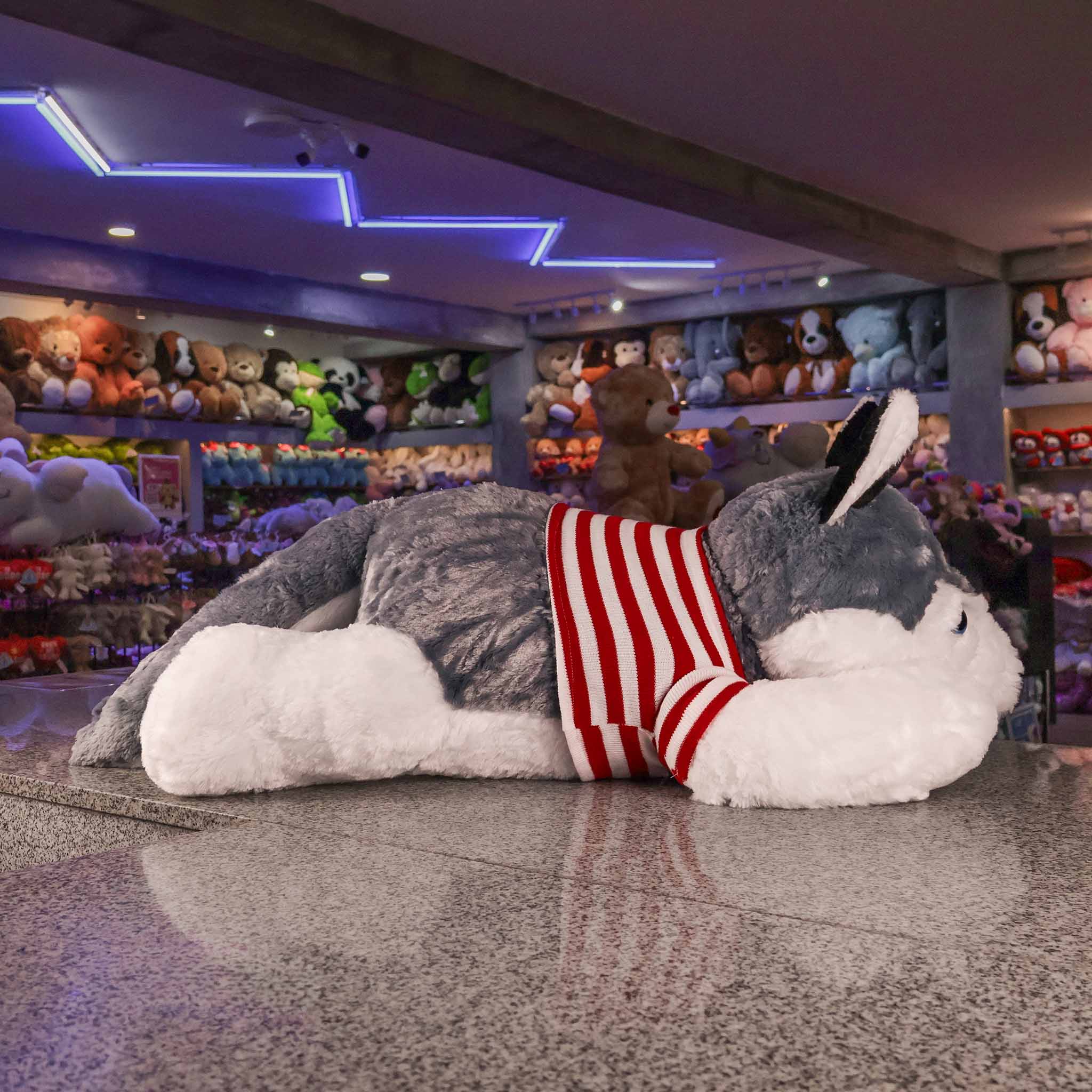 Peluche de Husky Perro Perrito acostado gris lobo 100cm giga