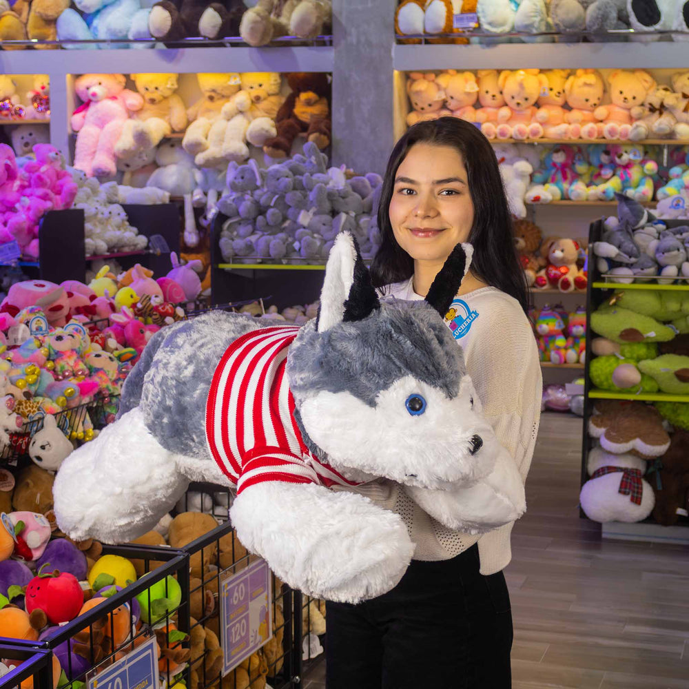 Perro Husky de peluche Jumbo 100 cm, peluches gigantes para regalar