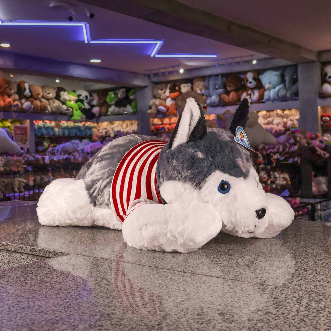 Perro Husky de peluche Jumbo 100 cm, peluches gigantes para regalar