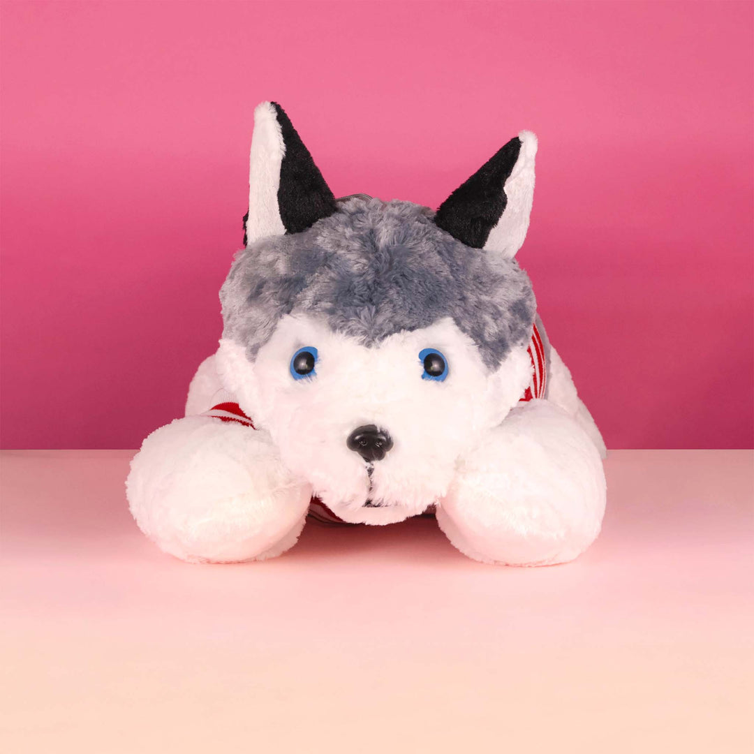 Perro Husky de peluche Jumbo 100 cm, peluches gigantes para regalar