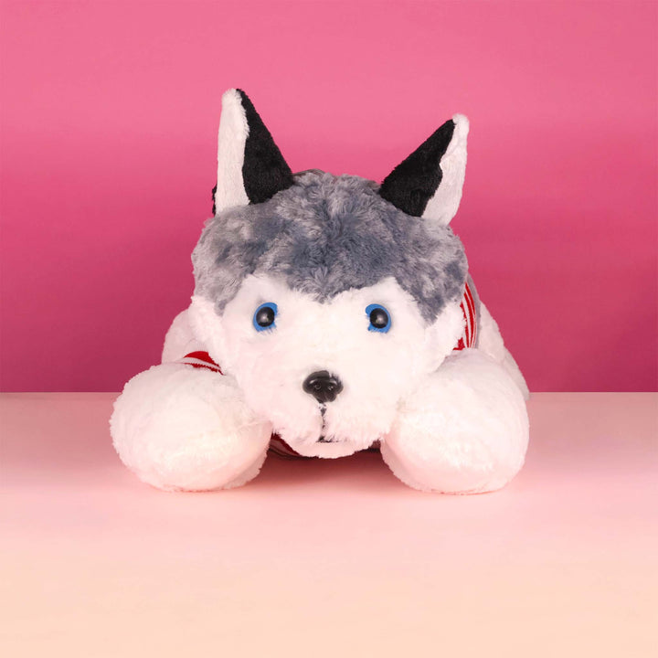 Perro Husky de peluche Jumbo 100 cm, peluches gigantes para regalar