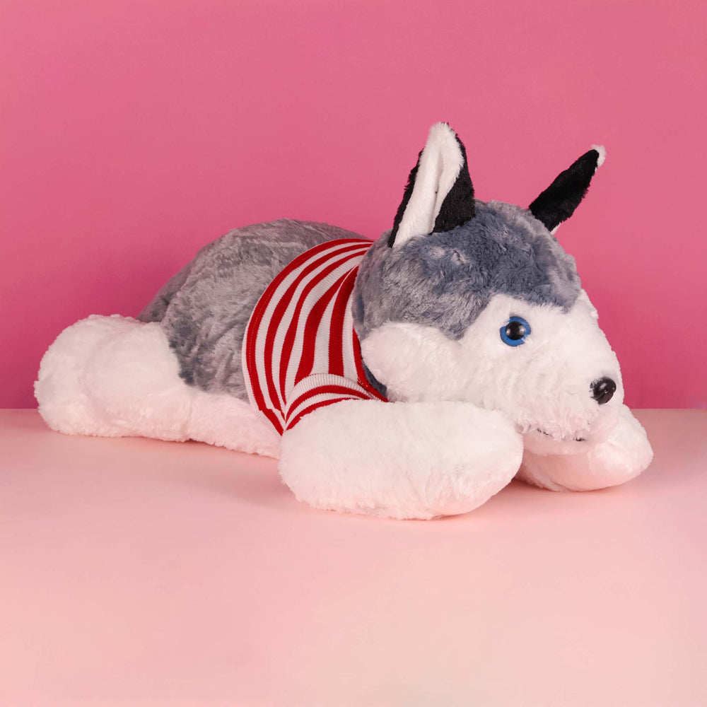 Perro Husky de peluche Jumbo 100 cm, peluches gigantes para regalar