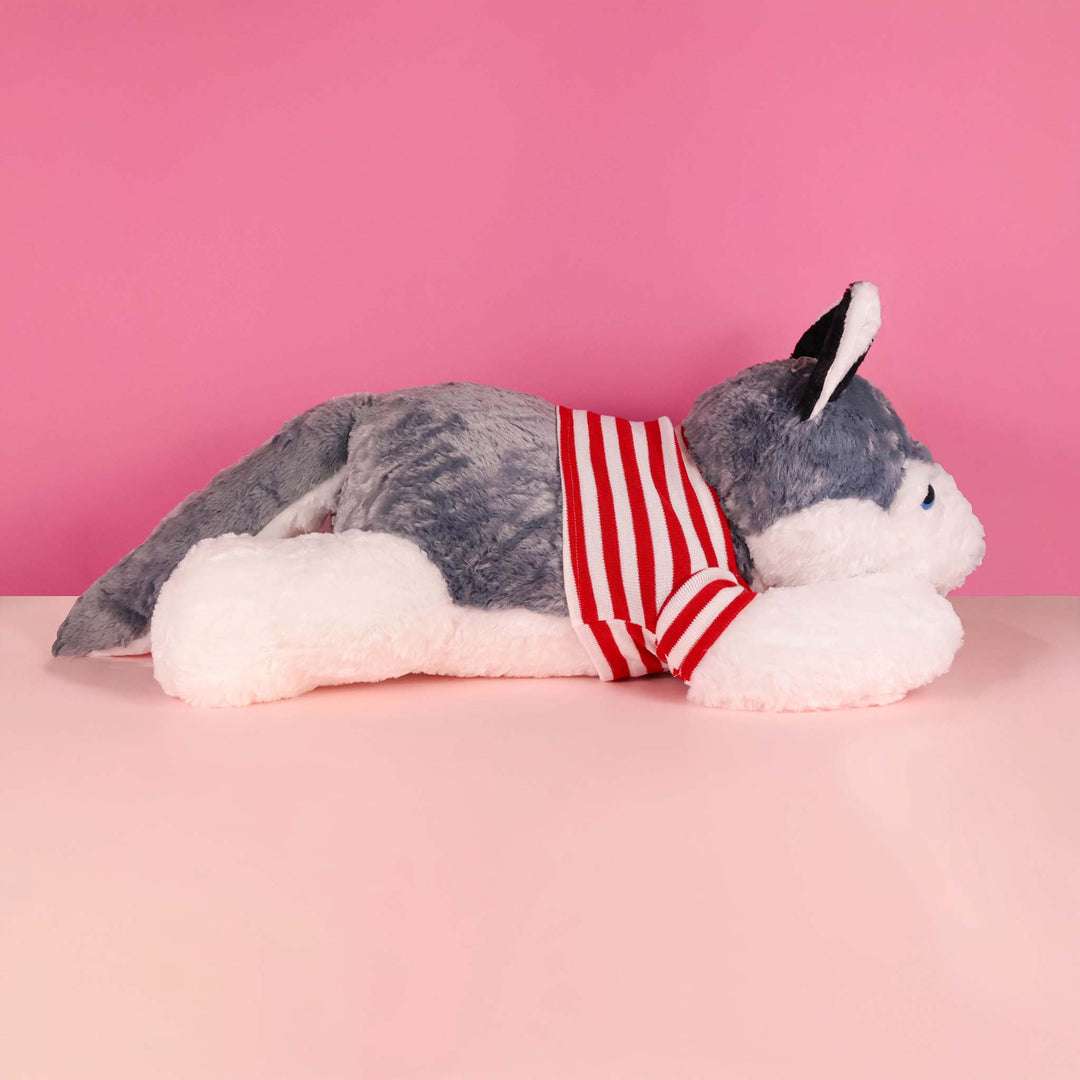 Perro Husky de peluche Jumbo 100 cm, peluches gigantes para regalar