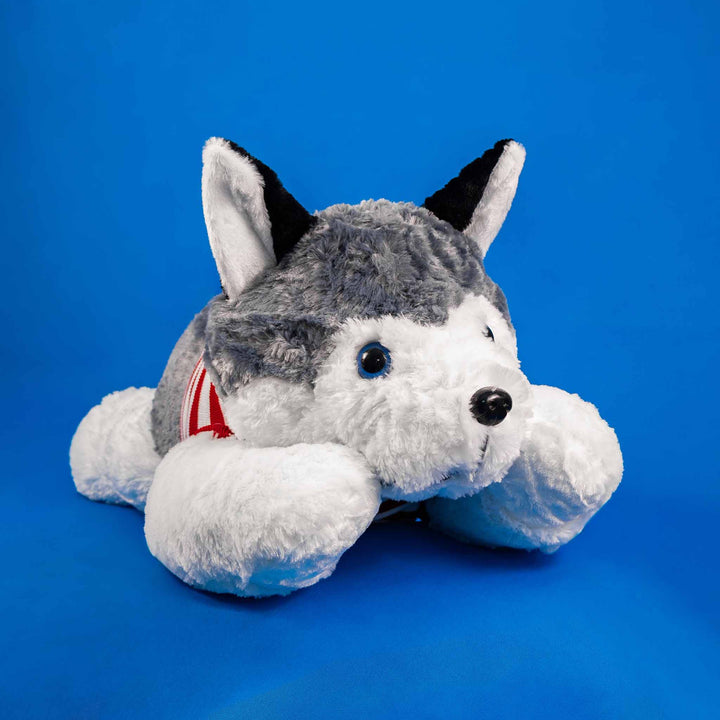 Perro Husky de peluche Jumbo 100 cm, peluches gigantes para regalar