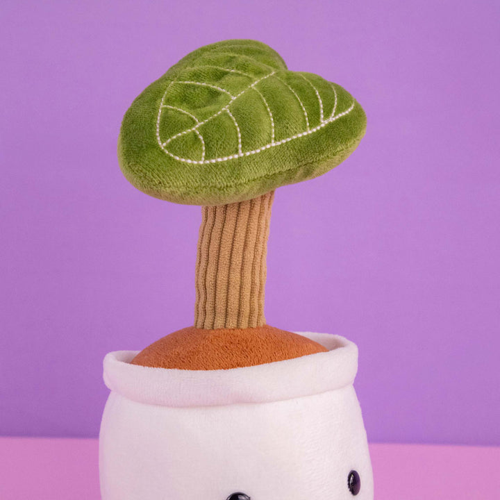 Planta de peluche Kumba 23 cm PIUINIKI - Pelucheria. Peluche de planta con carita feliz en color verde