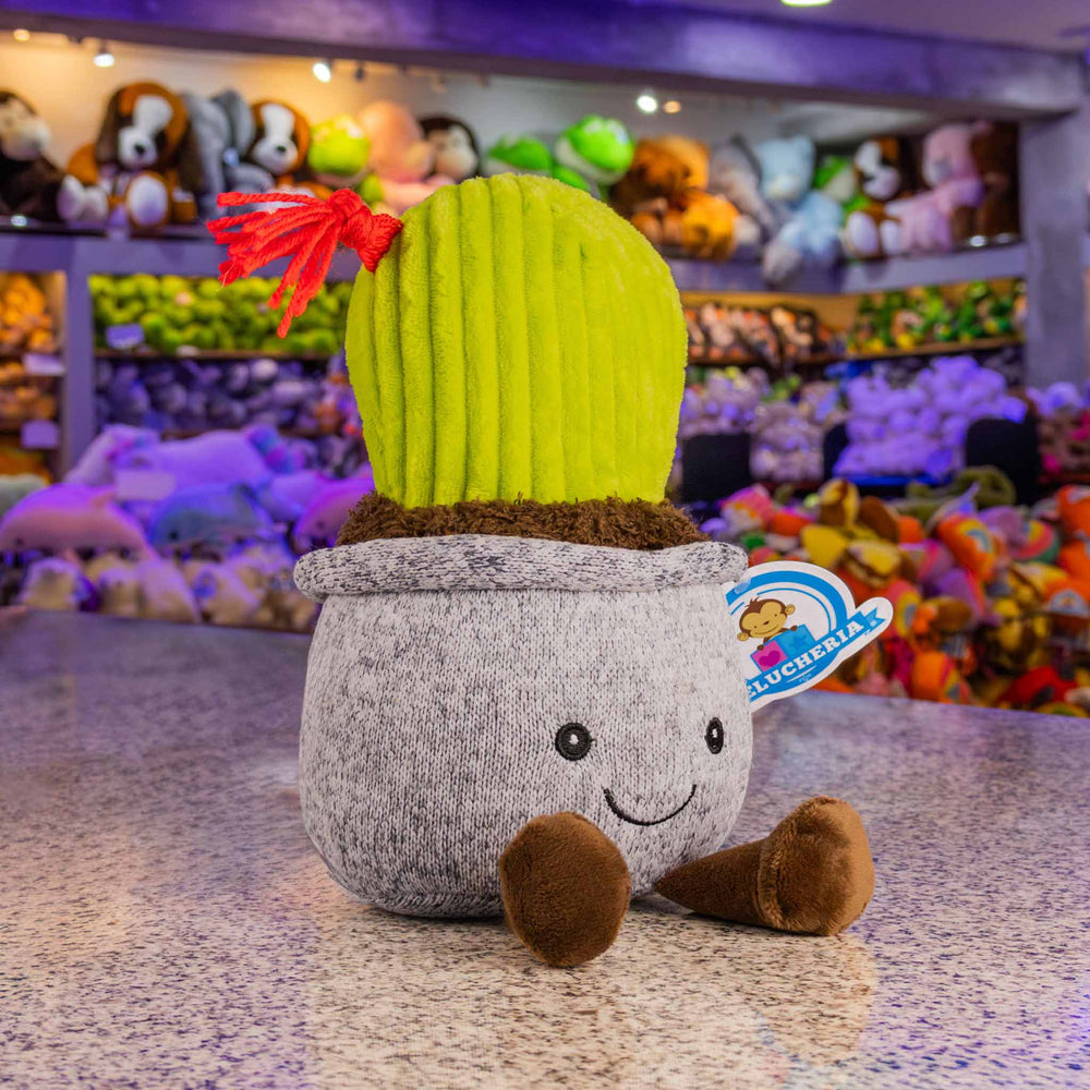Cactus de peluche. Ideal para mayoristas y tiendas de regalos