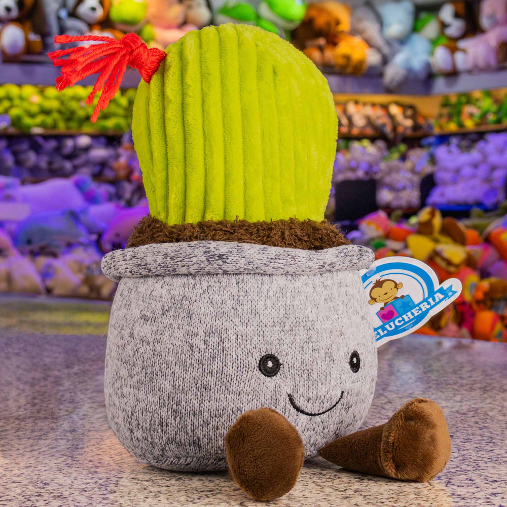 Cactus de peluche. Ideal para mayoristas y tiendas de regalos