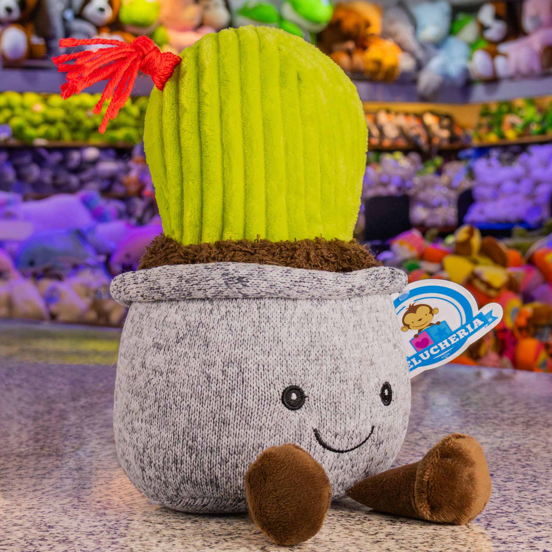 Cactus de peluche. Ideal para mayoristas y tiendas de regalos