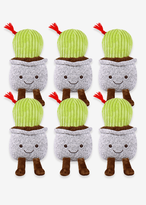Cactus de peluche. Ideal para mayoristas y tiendas de regalos