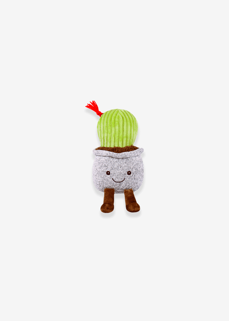 Cactus de peluche. Ideal para mayoristas y tiendas de regalos