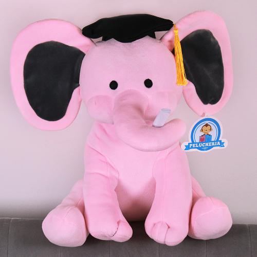 Peluche para graduación 