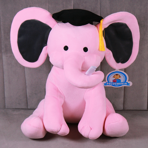 Peluche para graduación 