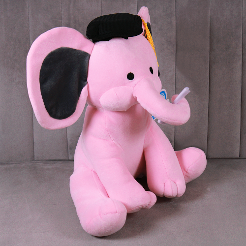 Peluche para graduación