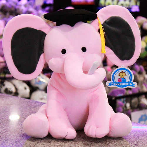 Peluche para graduación 