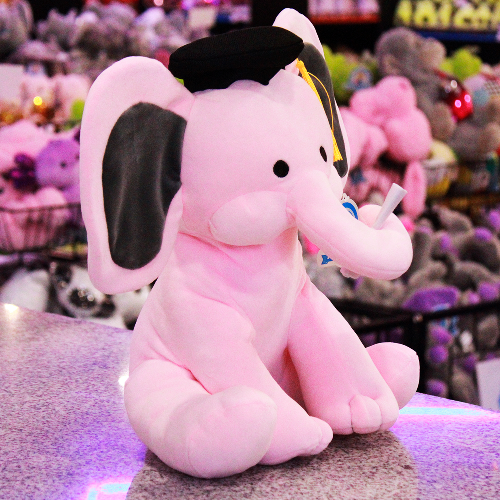 Peluche para graduación 