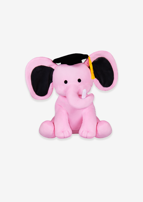 Peluche para graduación 