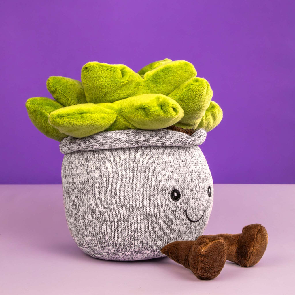 Suculenta de peluche. Ideal para mayoristas y tiendas de regalos