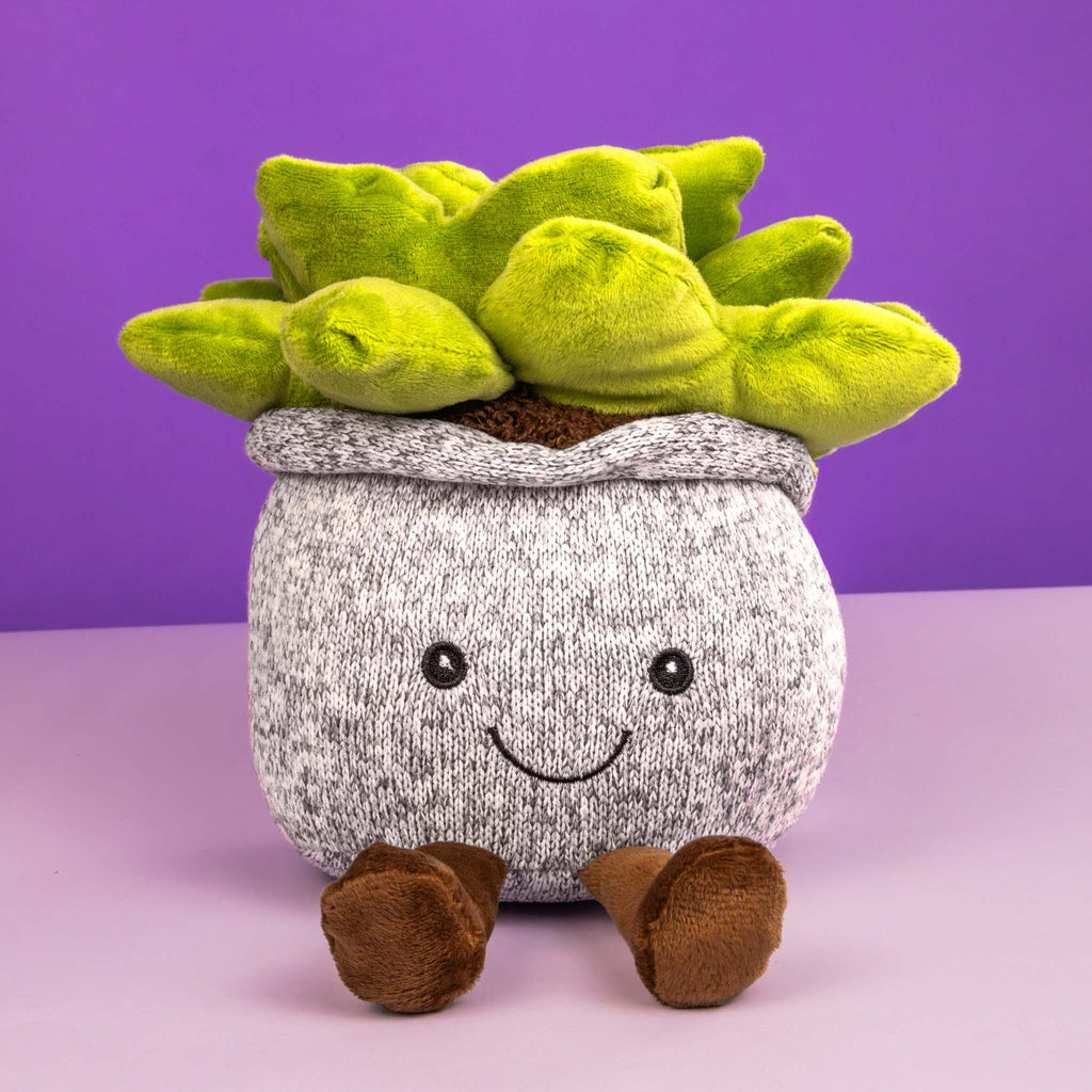 Suculenta de peluche. Ideal para mayoristas y tiendas de regalos
