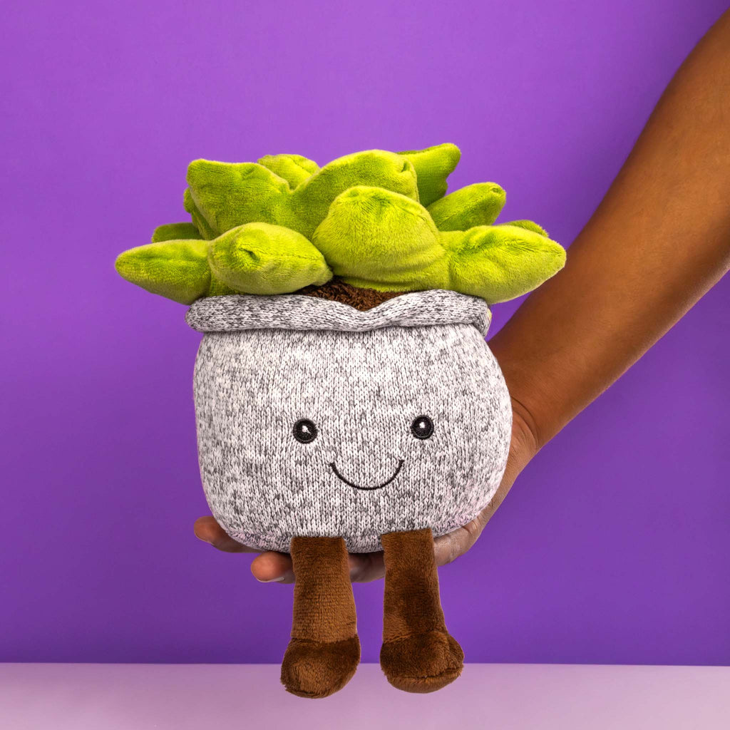 Suculenta de peluche. Ideal para mayoristas y tiendas de regalos