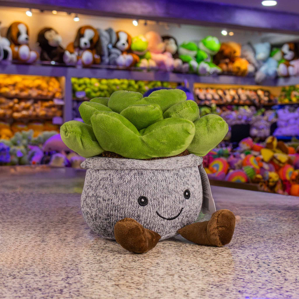 Suculenta de peluche. Ideal para mayoristas y tiendas de regalos