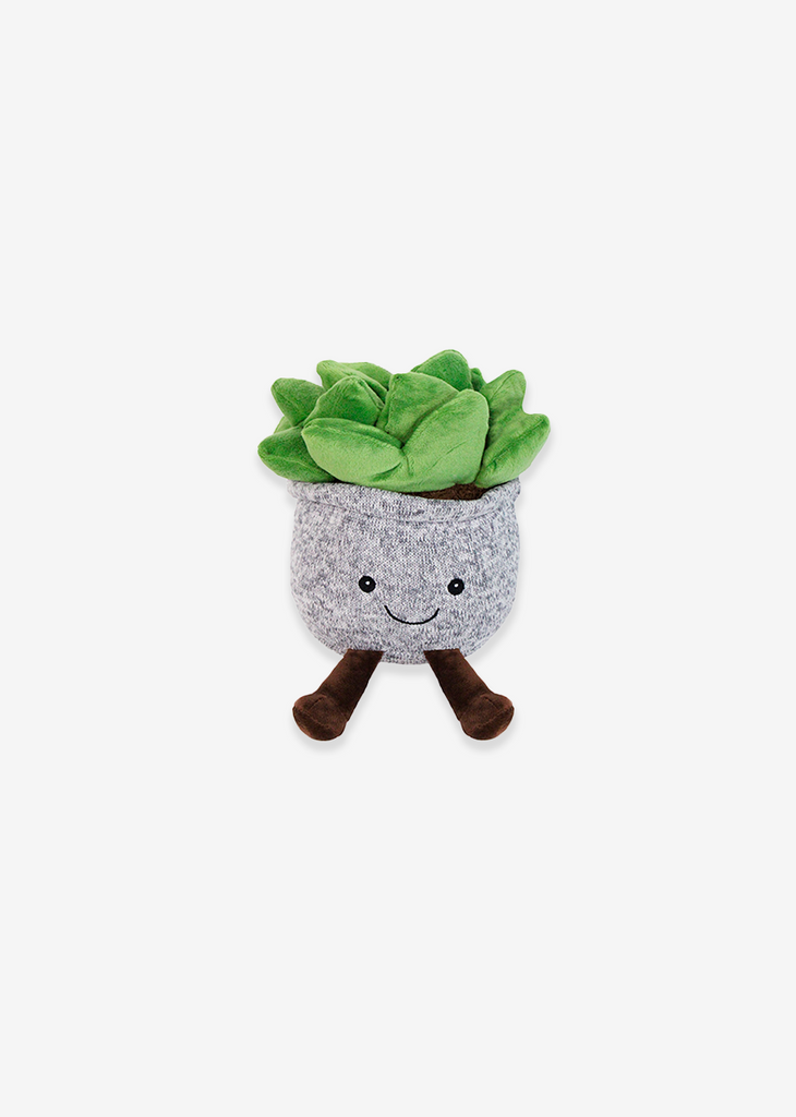 Suculenta de peluche. Ideal para mayoristas y tiendas de regalos