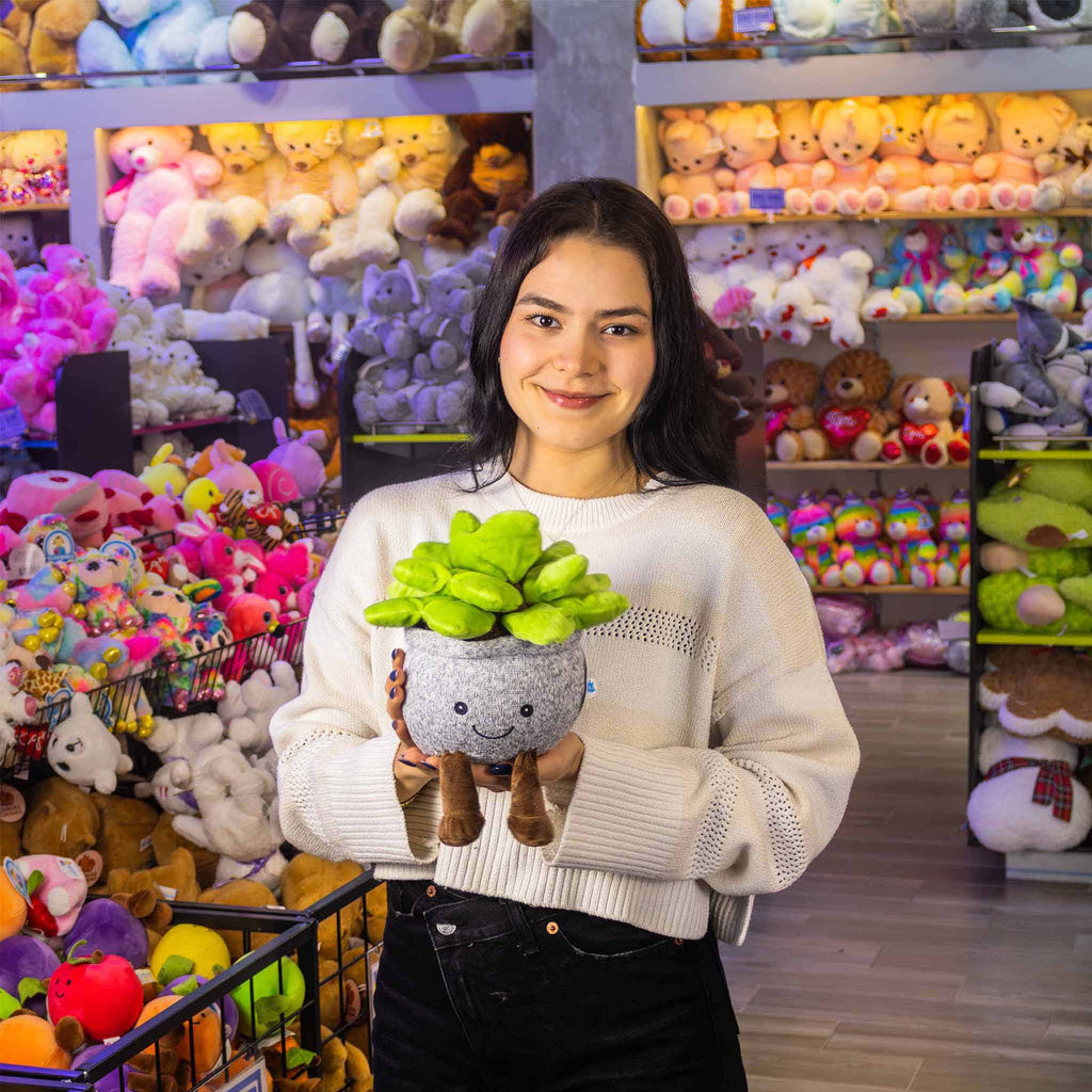 Suculenta de peluche. Ideal para mayoristas y tiendas de regalos
