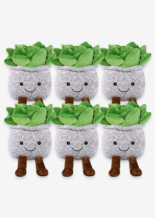 Suculenta de peluche A086