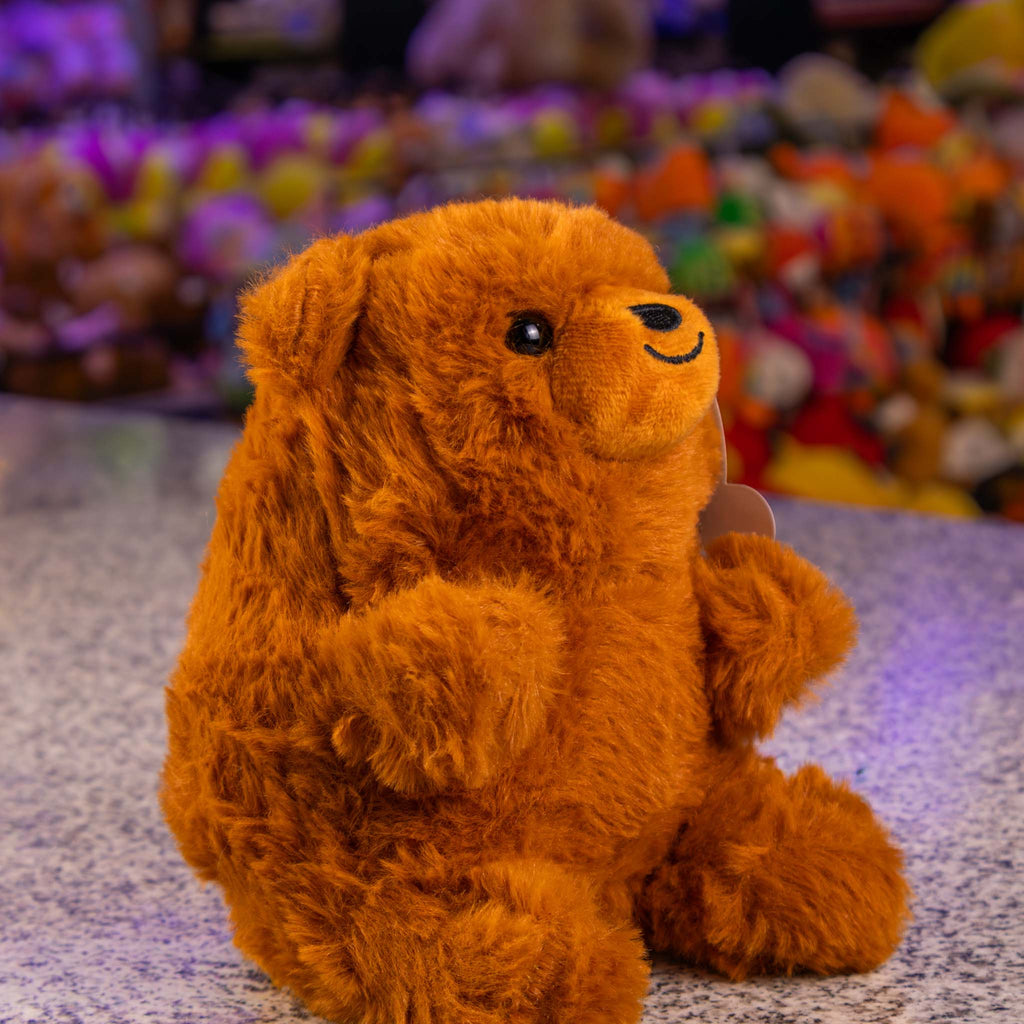 Oso de peluche color café y textura inigualable. Aprovecha precios de mayoreo e inicia tu propio negocio. 