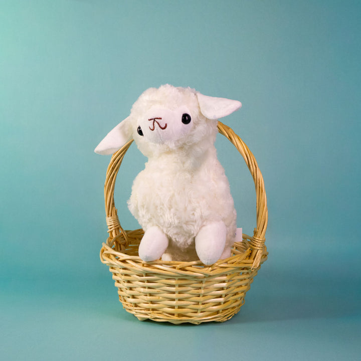 Set de 12 piezas de peluche blanca 23 cm
