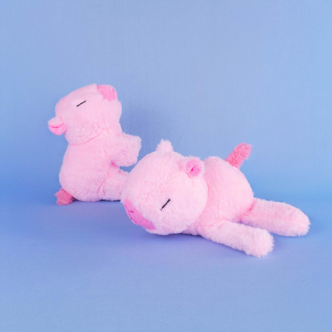 Straps de peluches, peluches de novedad. Capibara de peluche al mayoreo. 