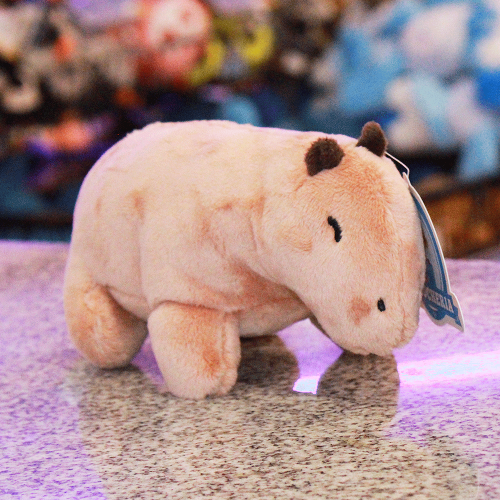capibara brown de peluche S067-4