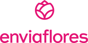 Logo envía flores