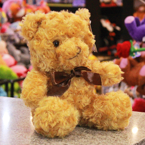 oso floral cafe de peluche Y551-7