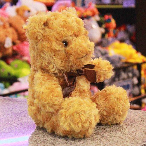 oso floral cafe de peluche Y551-8