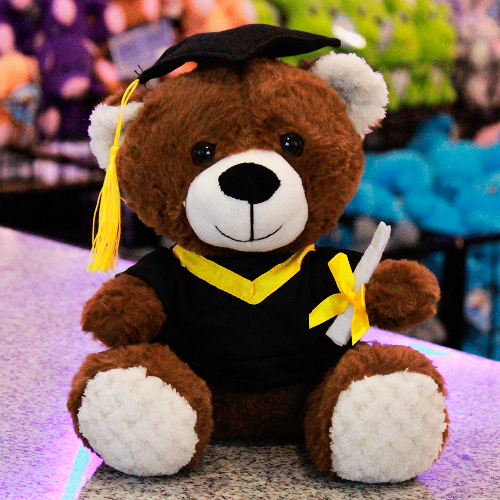 oso graduado mix de peluche PK042-5