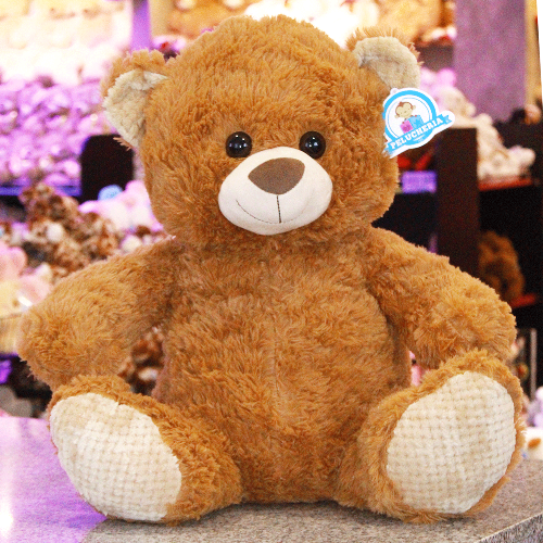 oso jimmy sentado de peluche Y647-4