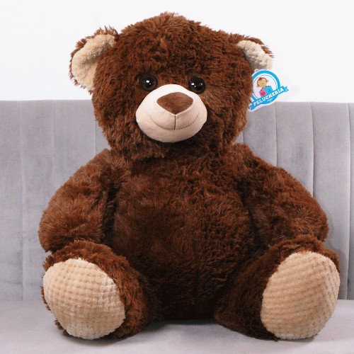 oso jimmy sentado de peluche Y647-5