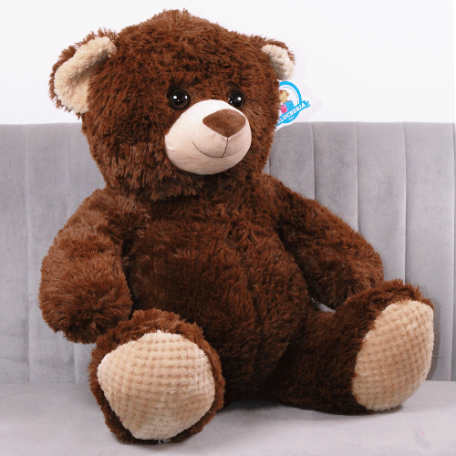 oso jimmy sentado de peluche Y647-6