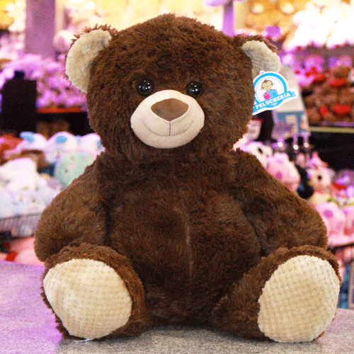 oso jimmy sentado de peluche Y647-8