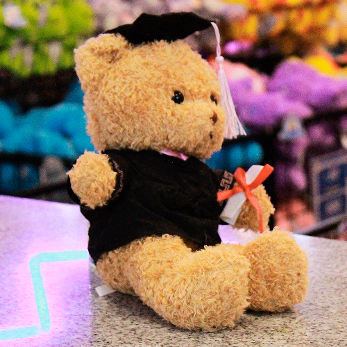 oso mily graduado de peluche PK041-5
