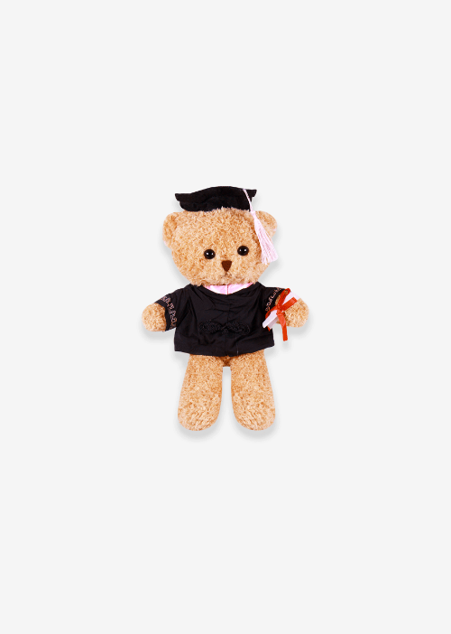 oso mily graduado de peluche PK041