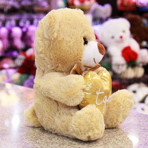 oso teo corazon de peluche A099-4