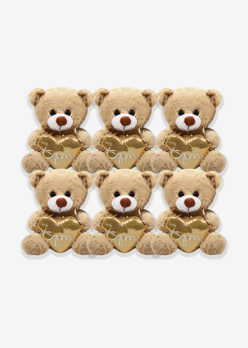 oso teo corazon de peluche A099